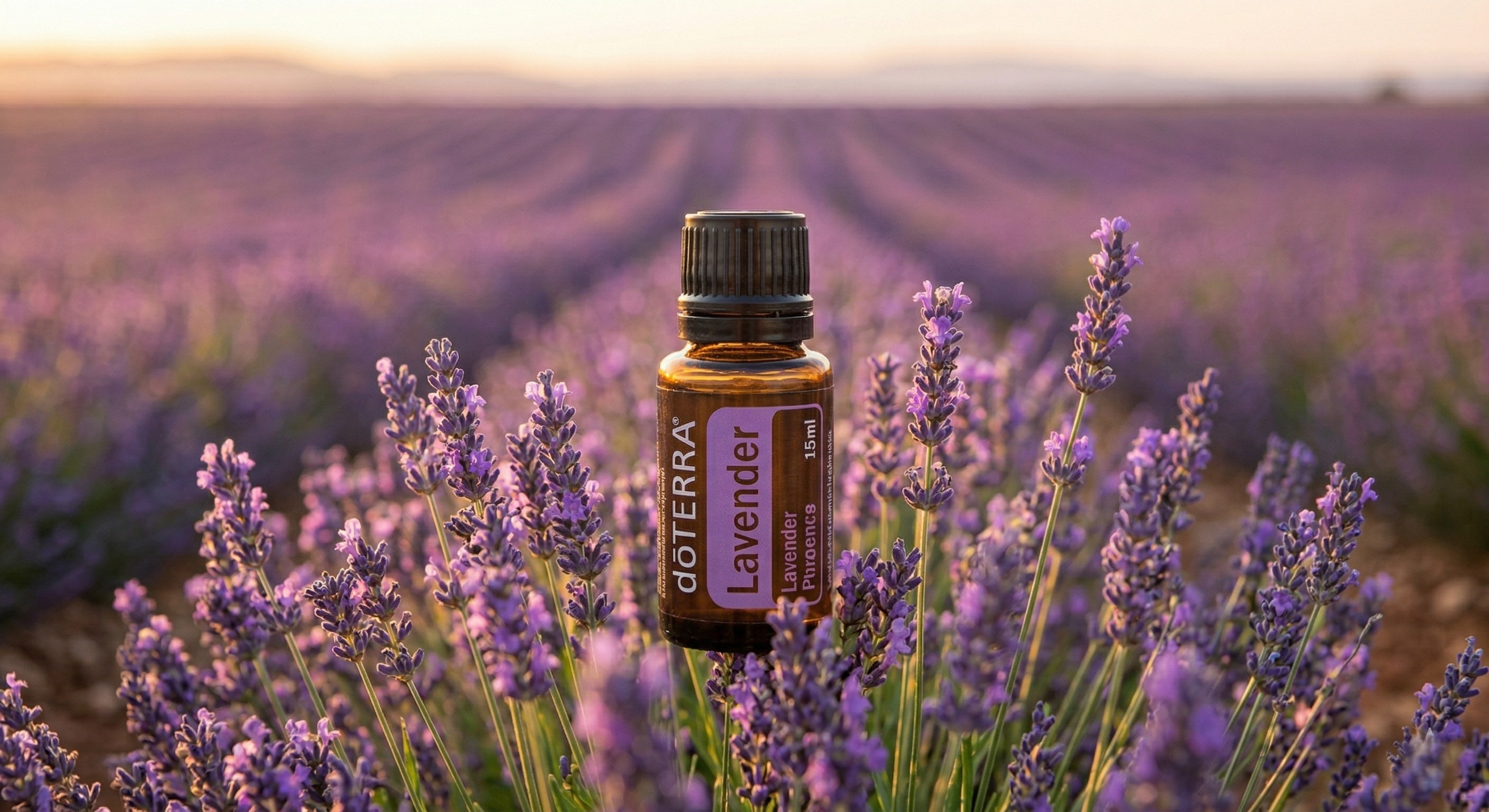 dōTERRA Essential Oil - Lavender